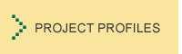Project Profiles